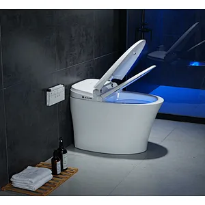 Smart toilet