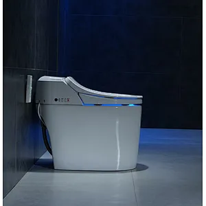 Smart toilet
