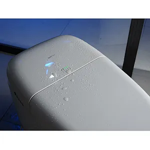 Smart toilet