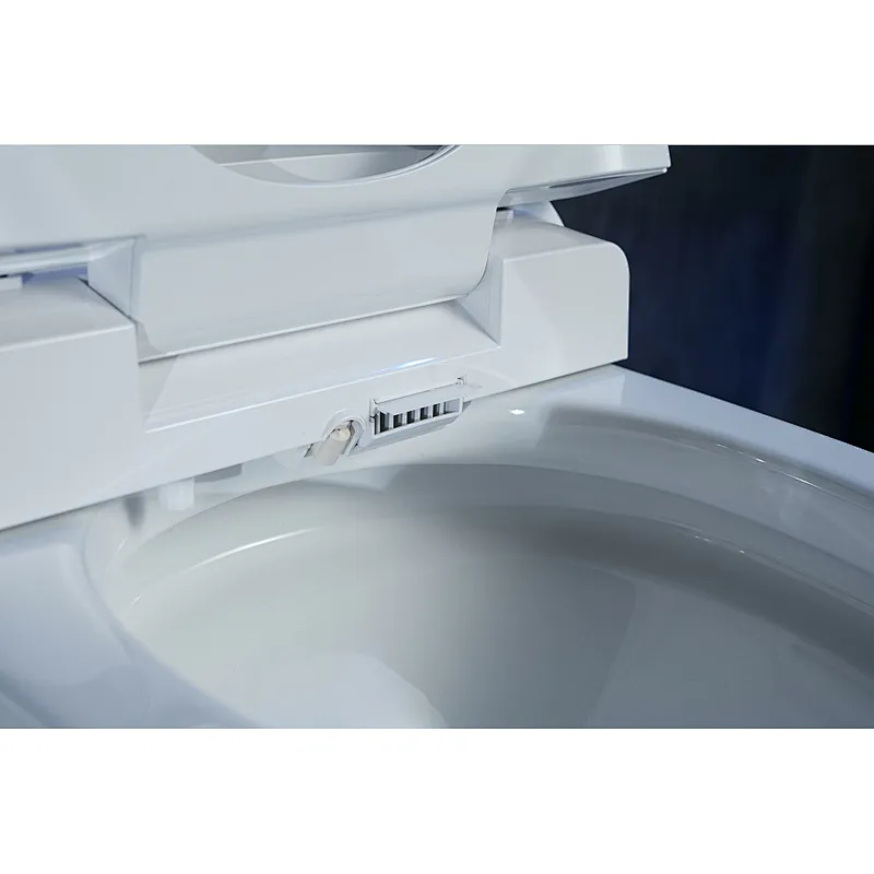 Smart toilet
