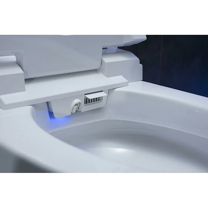 Smart toilet