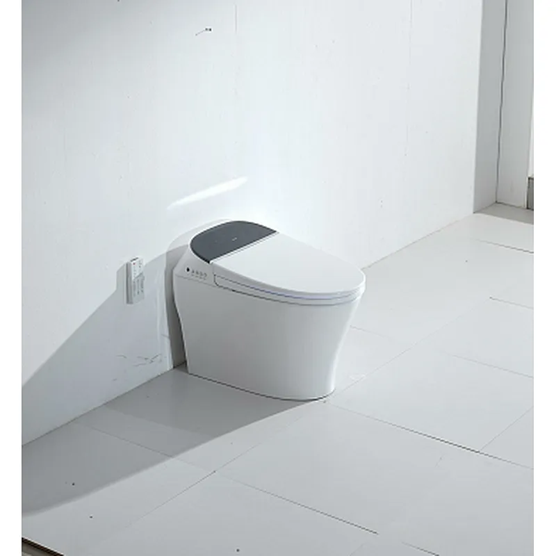 Smart toilet