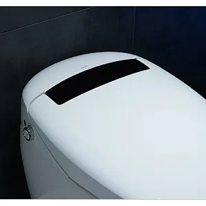 Smart toilet