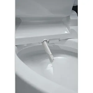 Smart toilet