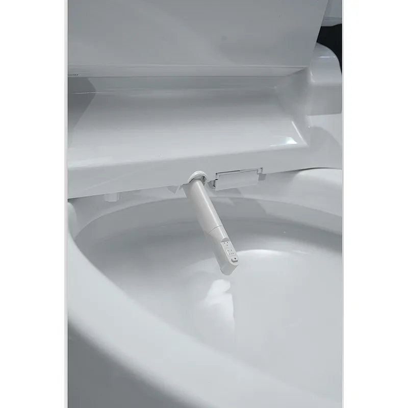Smart toilet