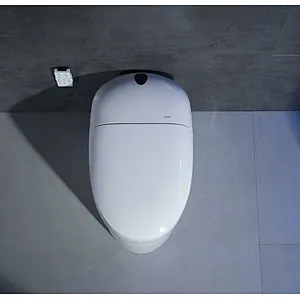 Smart toilet