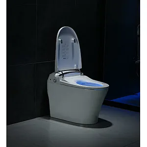 Smart toilet