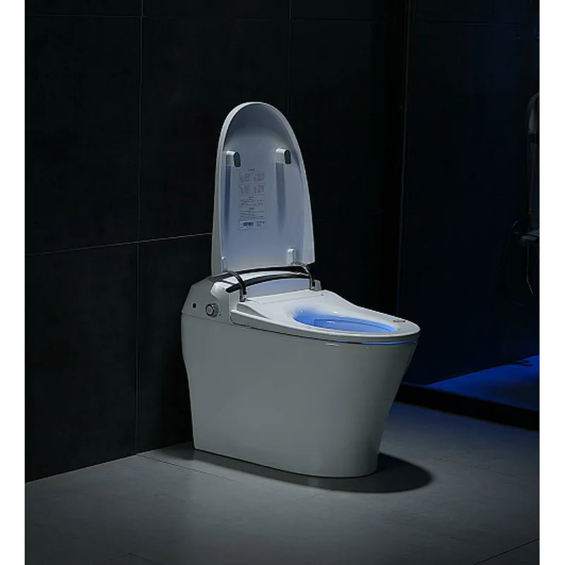 Smart toilet