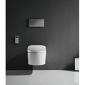 Smart toilet