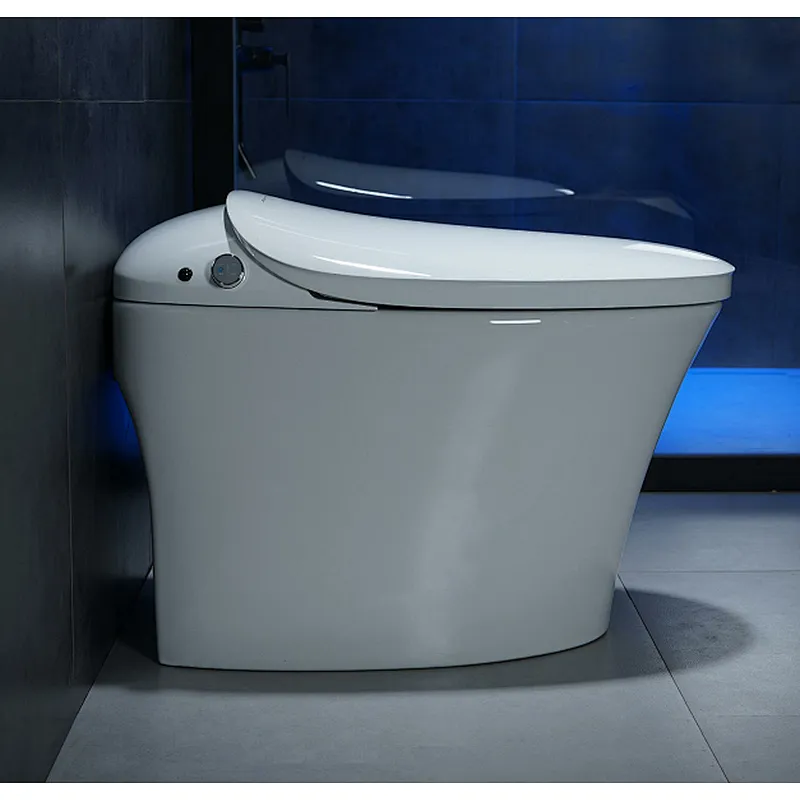 Smart toilet