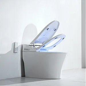 Smart toilet