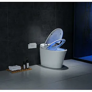 Smart toilet