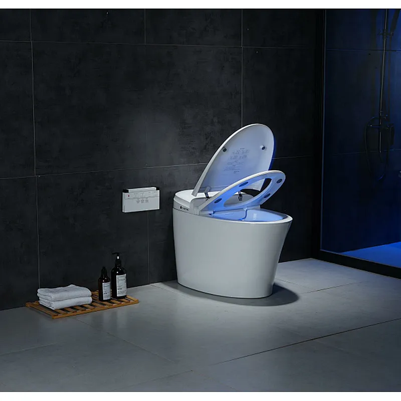 Smart toilet