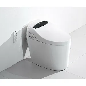 Smart toilet