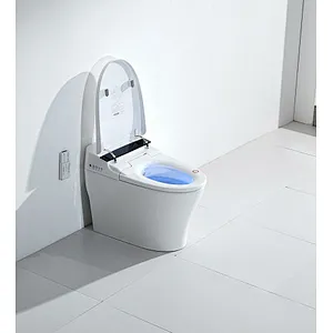 Smart toilet