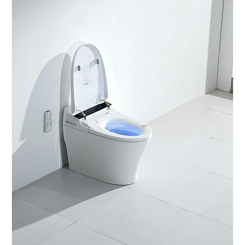 Smart toilet