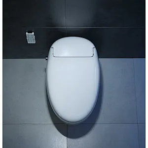 Smart toilet