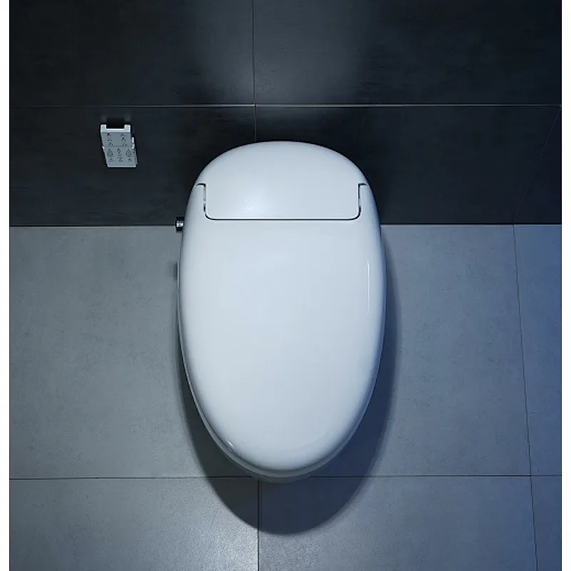 Smart toilet