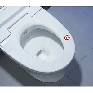 Smart toilet