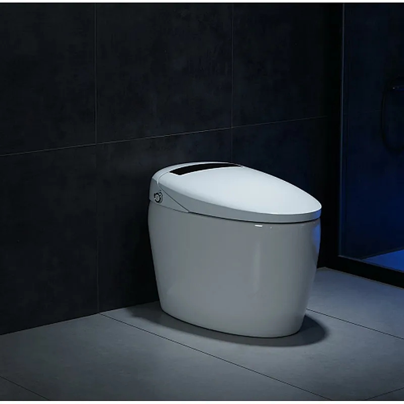 Smart toilet