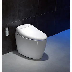 Smart toilet