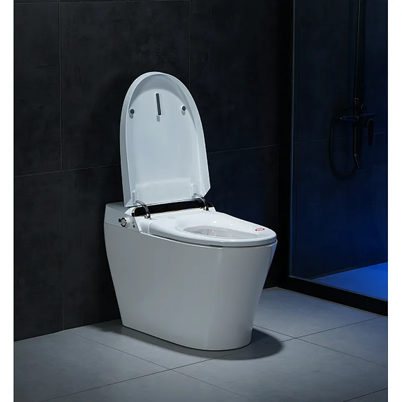 Smart toilet