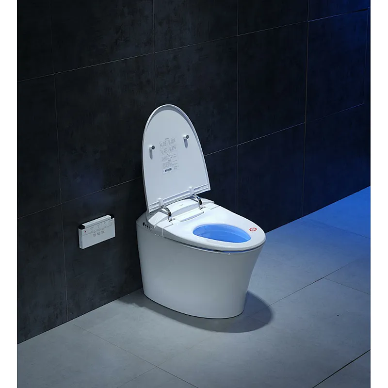 Smart toilet