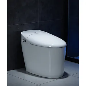 Smart toilet