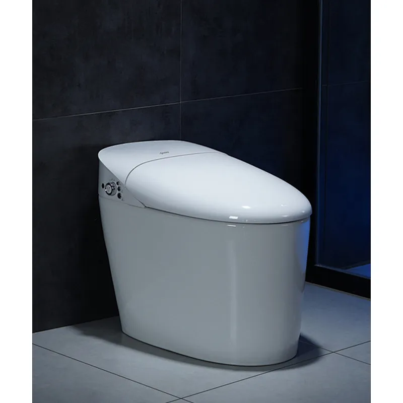 Smart toilet
