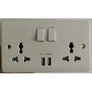 2019 hot sale british standard one gang 2 USB port 13A wall power switched socket UK switch with usb switch output current 3.1A