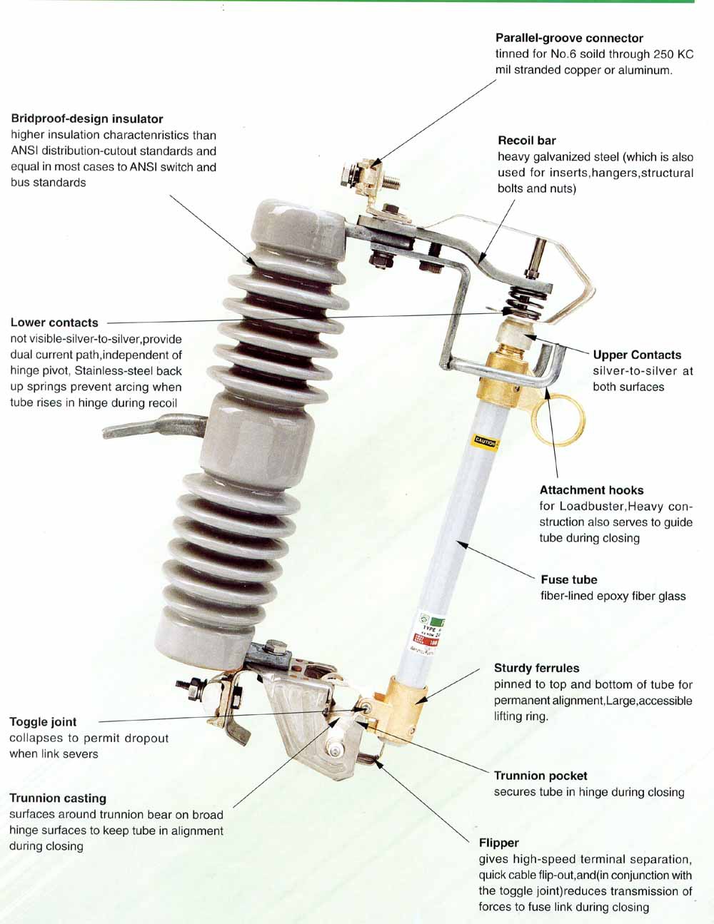 cut-out fuse-2.jpg