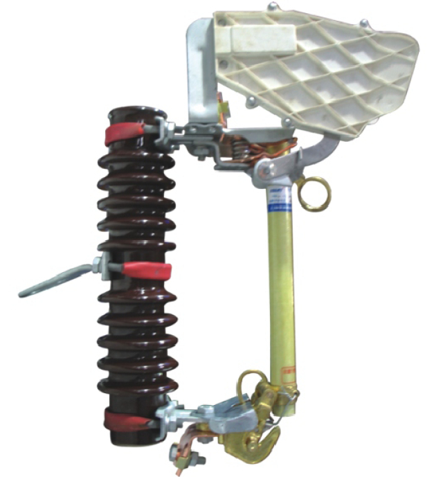 RW10-12F fuse cutout.jpg
