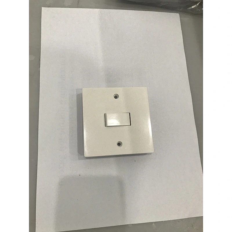 1 gang 2 way plate switch