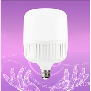 White light warm Light led constant current Bulb lamp e27 B22 Energy saving lamp Bulb
