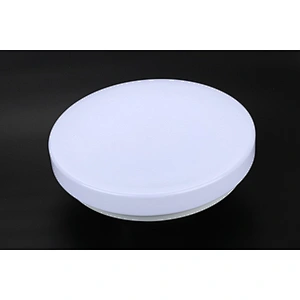 LED Ceiling light