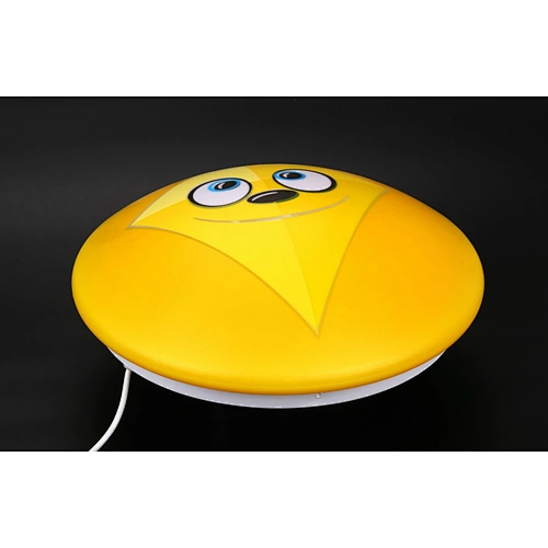 LED Ceiling light