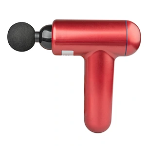 fitness facial gun