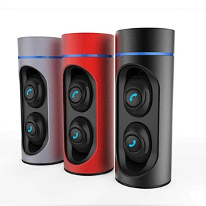 With 550mah Charging Case BT 5.0 TWS Wireless Earbuds