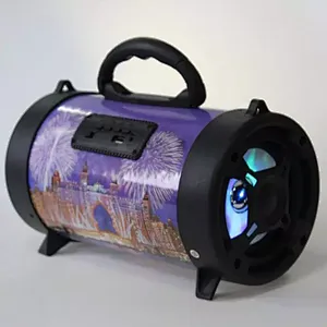 Portable Wireless 10W Big Power Active BT DJ Led Light Park Garden Outdoor FM Radio Bluetooth Speaker