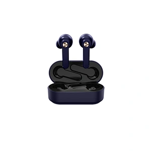 5.0 TWS in ear true wireless earbuds with charging case