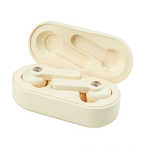 Voice Assistant  Bulit-in MIC Touch Control tws in-Ear Earphones