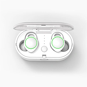 Portable BT 5.0 True Wireless Mini TWS Earphone