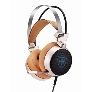 Noise cancelling led light gamer headphones headset microphone