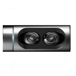 With 550mah Charging Case BT 5.0 TWS Wireless Earbuds