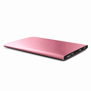 Custom Portable Polymer Battery Mobile Power Bank 20000mah