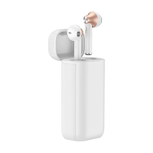 Twins 5.0 Wireless Bluetooth Earphone Stereo Earbuds PowerBank TWS