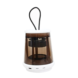 TWS Mini Portable Transparent  Audio Player Wireless BT Bluetooth Led light Speaker