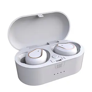 V5.0 Handfree Cordless Stereo Bluetooth Dual Color Mini Wireless Mic Earbuds