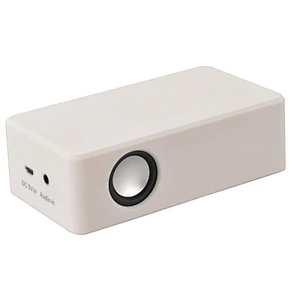 portable wireless amplifier magnetic induction speaker