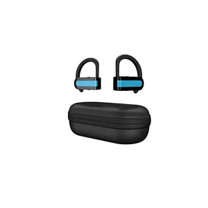 Oem 5.0 TWS Bluetooth Noise Reduction Fitness Stereo True Wireless Earhook Earphone With Eva Case